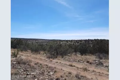 29118 W Stagecoach Lane, Seligman, AZ 86337 - Photo 6