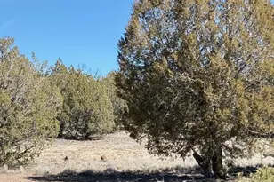 3963 Gerry Ln, Williams, AZ 86046 - Photo 1