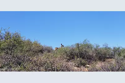 14909 E State Route 169, Dewey-Humboldt, AZ 86327 - Photo 40