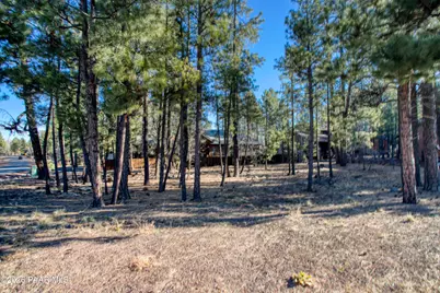 5702 S Hidden Oak Drive, Pinetop, AZ 85935 - Photo 4
