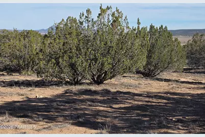 53302 Shadow Mountain Parkway, Seligman, AZ 86337 - Photo 22