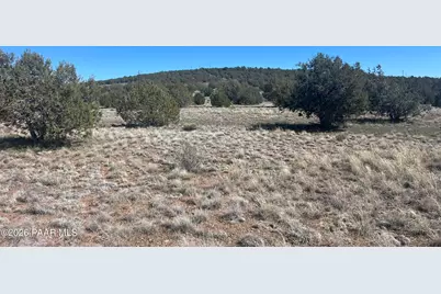 878 Fairview Drive, Williams, AZ 86046 - Photo 4