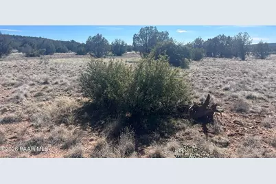 878 Fairview Drive, Williams, AZ 86046 - Photo 2