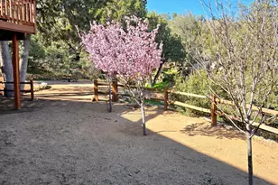 646 S Rancho Vista Dr, Prescott, AZ 86303 - Photo 50