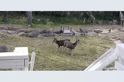 1963 Idylwild Road, Prescott, AZ 86305 - Photo 52