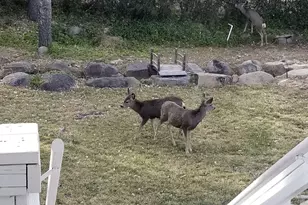 1963 Idylwild Rd, Prescott, AZ 86305 - Photo 52