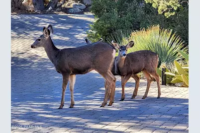 1351 Indian Trail, Prescott, AZ 86305 - Photo 52