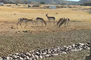 11911 N Tevy Trail, Prescott Valley, AZ 86315 - Photo 48