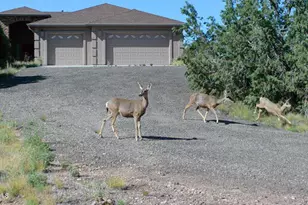 7051 Dillon Wash Rd, Prescott, AZ 86305 - Photo 8