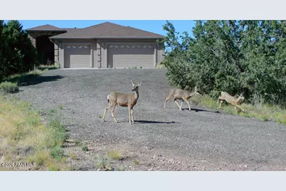 7051 Dillon Wash Road, Prescott, AZ 86305 - Photo 14