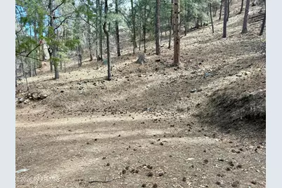 5445 E Gold Pan Way, Prescott, AZ 86303 - Photo 8