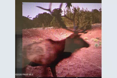 5479 N Ten Tanks Road, Williams, AZ 86046 - Photo 2