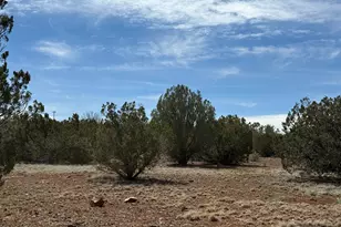 8389 Bear Meadow Dr, Show Low, AZ 85901 - Photo 1