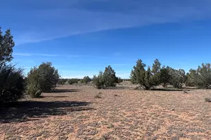 309 Bullock Rd, Ash Fork, AZ 86320 - Photo 1