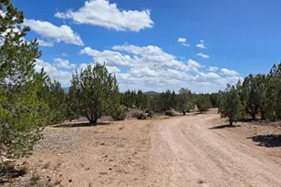 2795 W Poppy Rd, Ash Fork, AZ 86320 - Photo 50