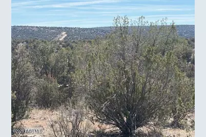 56800 Bearclaw Road, Seligman, AZ 86337 - Photo 6