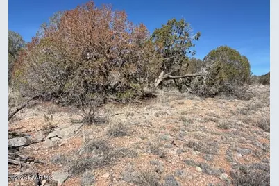 56800 Bearclaw Road, Seligman, AZ 86337 - Photo 20