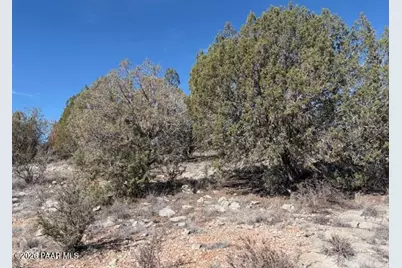 56800 Bearclaw Road, Seligman, AZ 86337 - Photo 10