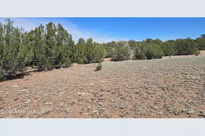 390 Haywire Road, Ash Fork, AZ 86320 - Photo 6