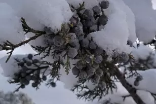 1380 Suomi Dr, Prescott, AZ 86303 - Photo 18