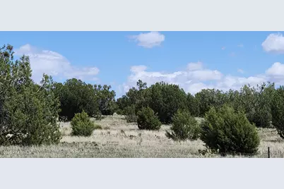 12B Juniperwood Ranch, Ash Fork, AZ 86320 - Photo 18