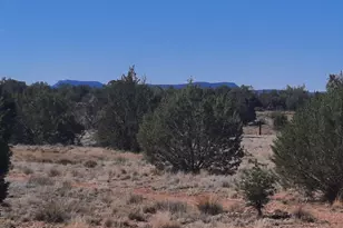 37500 W Bullet Rd, Seligman, AZ 86337 - Photo 34