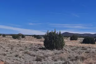 37500 W Bullet Rd, Seligman, AZ 86337 - Photo 36