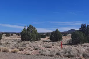 37500 W Bullet Rd, Seligman, AZ 86337 - Photo 30