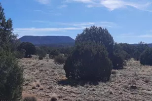 37500 W Bullet Rd, Seligman, AZ 86337 - Photo 32