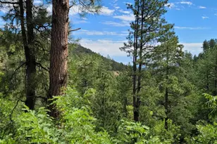 8000 S Breezy Pine Rd, Mayer, AZ 86333 - Photo 46