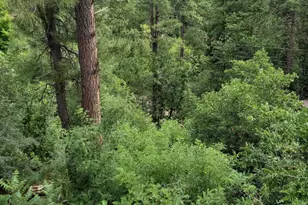 8000 S Breezy Pine Rd, Mayer, AZ 86333 - Photo 48