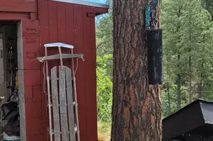 8000 S Breezy Pine Rd, Mayer, AZ 86333 - Photo 12