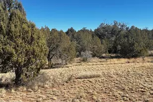 32372 Ancho Rd, Seligman, AZ 86337 - Photo 1