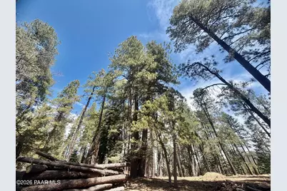 3200 E Misty Mountain Loop, Prescott, AZ 86303 - Photo 8