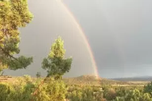 450 W Mystic Mesa Dr, Paulden, AZ 86334 - Photo 36