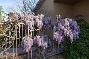 5721 N Honeysuckle Rd, Prescott, AZ 86305 - Photo 96