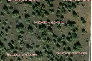 4529 W Eagle Wings Dr, Williams, AZ 86046 - Photo 1