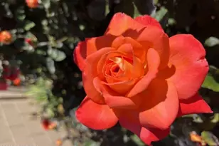 1157 N Tin Whip Trail, Prescott Valley, AZ 86314 - Photo 36