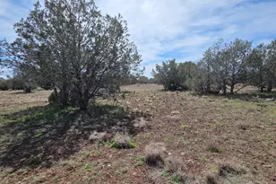 3042 W Jessie Wy, Williams, AZ 86046 - Photo 8