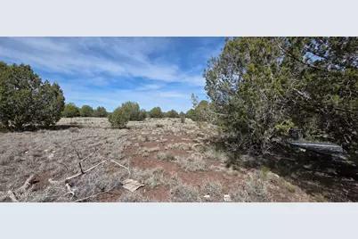 3042 W Jessie Way, Williams, AZ 86046 - Photo 6