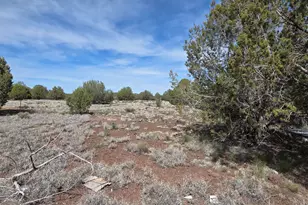 3042 W Jessie Wy, Williams, AZ 86046 - Photo 6