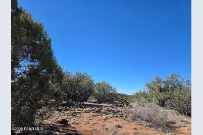 55688 N Latigo Road, Seligman, AZ 86337 - Photo 4