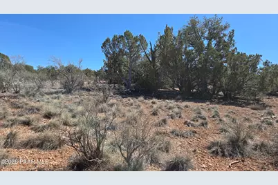 55688 N Latigo Road, Seligman, AZ 86337 - Photo 6