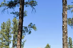 3169 W Crestview Dr, Prescott, AZ 86305 - Photo 54