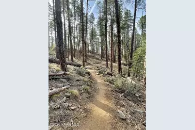 3483 S Pinehurst Drive, Prescott, AZ 86303 - Photo 40