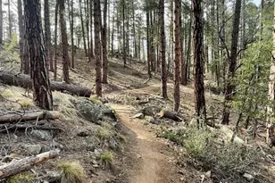 3483 S Pinehurst Dr, Prescott, AZ 86303 - Photo 40