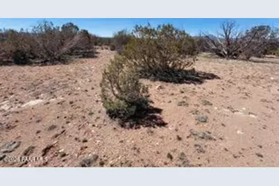 302-17-306 Haywire Road, Ash Fork, AZ 86320 - Photo 4