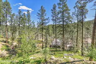 2910 E Shelf Rd, Prescott, AZ 86303 - Photo 8