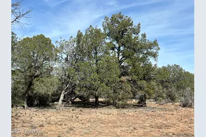 5 Deer Droppings, Ash Fork, AZ 86320 - Photo 4