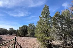 5 Deer Droppings, Ash Fork, AZ 86320 - Photo 1